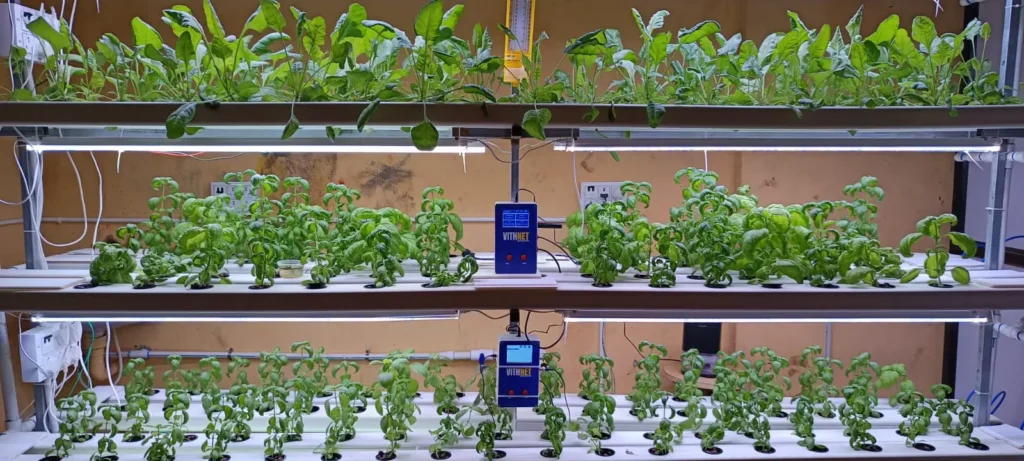 Hydroponic Lab - Agriculture Engineering - Alva's Institute of Engineering & Technology